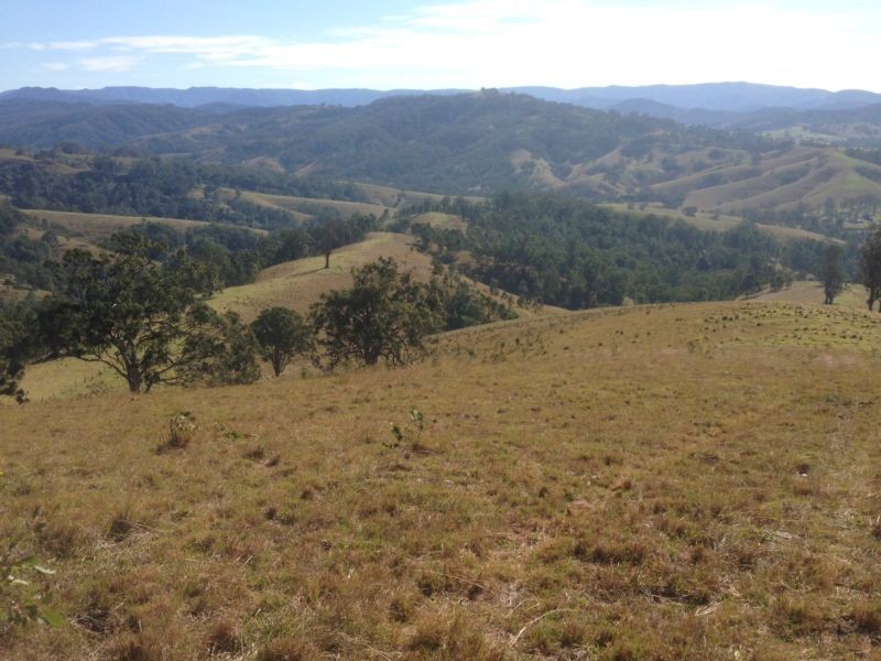 Masseys Creek Road, Gresford NSW 2311