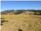 Masseys Creek Road, Gresford NSW 2311