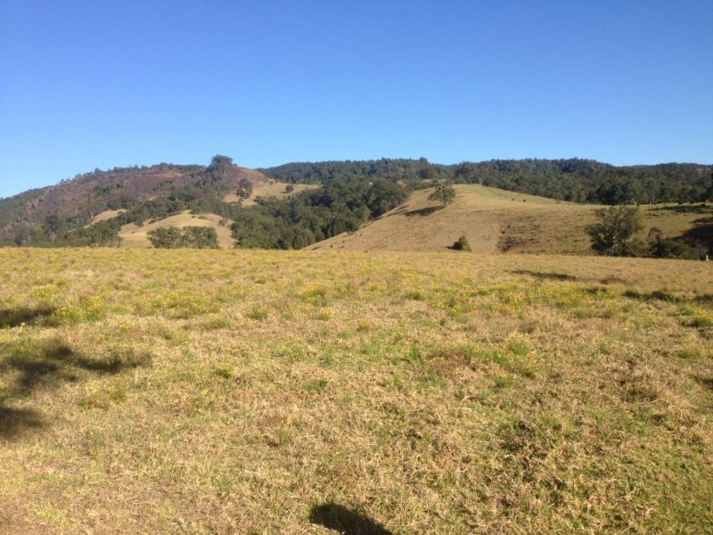 Masseys Creek Road, Gresford NSW 2311