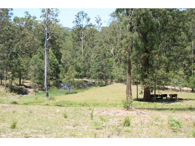 Lot 21 1590 Mill Creek Road, Stroud NSW 2425