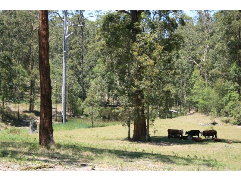 Lot 21 1590 Mill Creek Road, Stroud NSW 2425