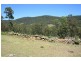 Lot 21 1590 Mill Creek Road, Stroud NSW 2425