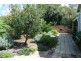 82 Chapman Street, Dungog NSW 2420