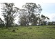 Lot C & D Chichester Dam Road, Dungog NSW 2420