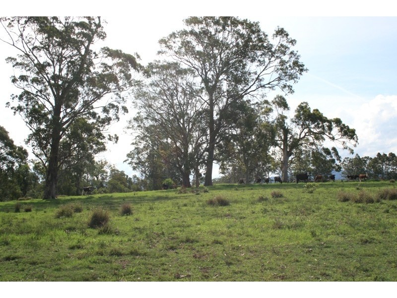 Lot C & D Chichester Dam Road, Dungog NSW 2420