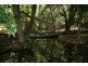 Lot C & D Chichester Dam Road, Dungog NSW 2420