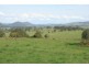 Lot C & D Chichester Dam Road, Dungog NSW 2420