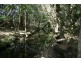 Lot C & D Chichester Dam Road, Dungog NSW 2420