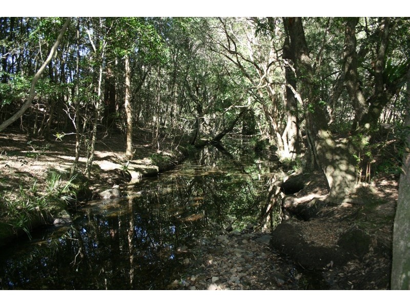 Lot C & D Chichester Dam Road, Dungog NSW 2420