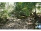 Lot C & D Chichester Dam Road, Dungog NSW 2420