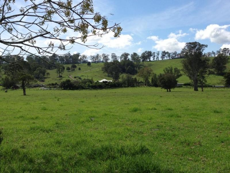 1507 Chichester Dam Road, Dungog NSW 2420