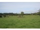 1507 Chichester Dam Road, Dungog NSW 2420