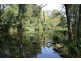 1507 Chichester Dam Road, Dungog NSW 2420