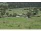 1507 Chichester Dam Road, Dungog NSW 2420