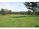 1507 Chichester Dam Road, Dungog NSW 2420