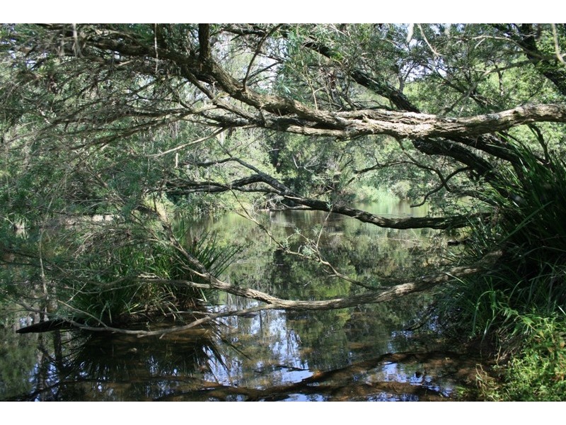 1507 Chichester Dam Road, Dungog NSW 2420