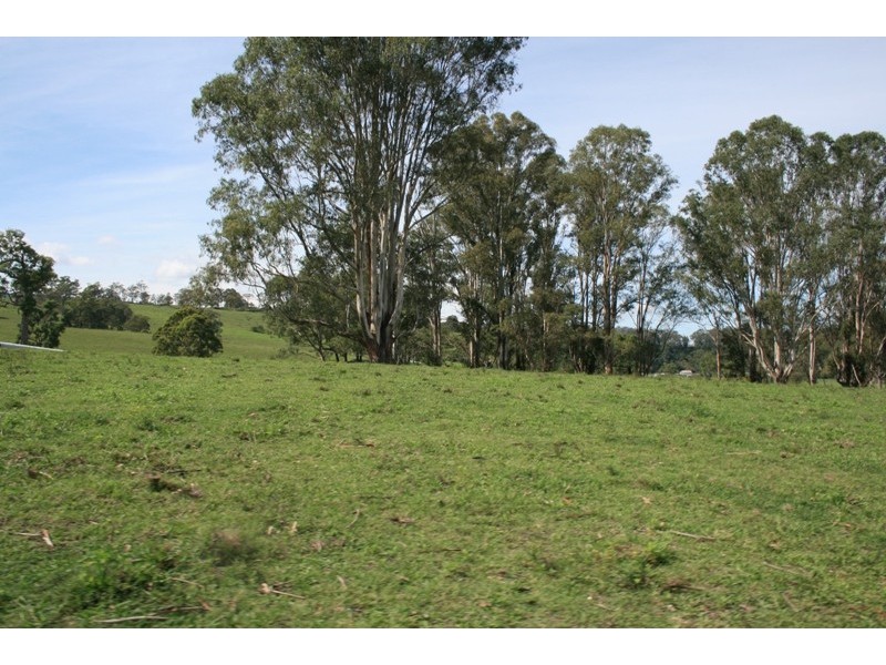 1507 Chichester Dam Road, Dungog NSW 2420
