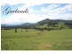 1305 Allyn River Road, East Gresford NSW 2311