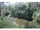 1305 Allyn River Road, East Gresford NSW 2311