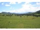 1305 Allyn River Road, East Gresford NSW 2311