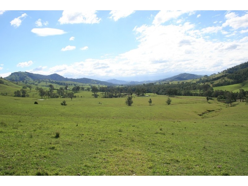 1305 Allyn River Road, East Gresford NSW 2311