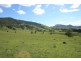 1305 Allyn River Road, East Gresford NSW 2311