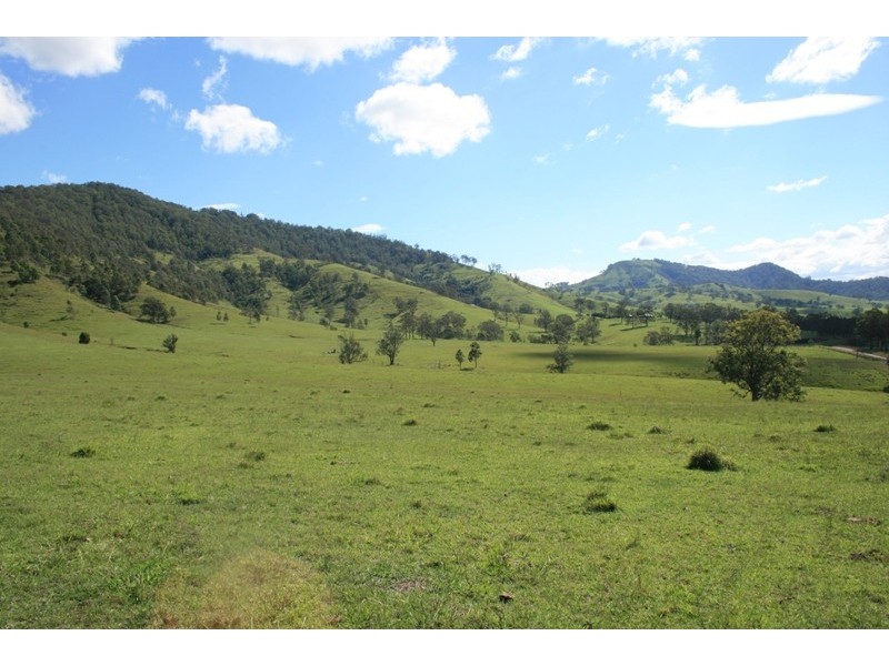 1305 Allyn River Road, East Gresford NSW 2311