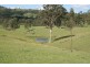 1305 Allyn River Road, East Gresford NSW 2311