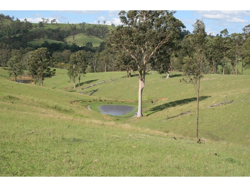 1305 Allyn River Road, East Gresford NSW 2311