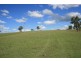 1305 Allyn River Road, East Gresford NSW 2311