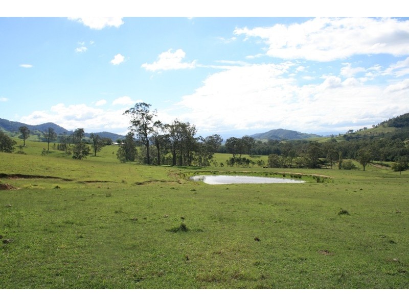 1305 Allyn River Road, East Gresford NSW 2311