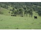 1305 Allyn River Road, East Gresford NSW 2311