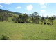 1305 Allyn River Road, East Gresford NSW 2311