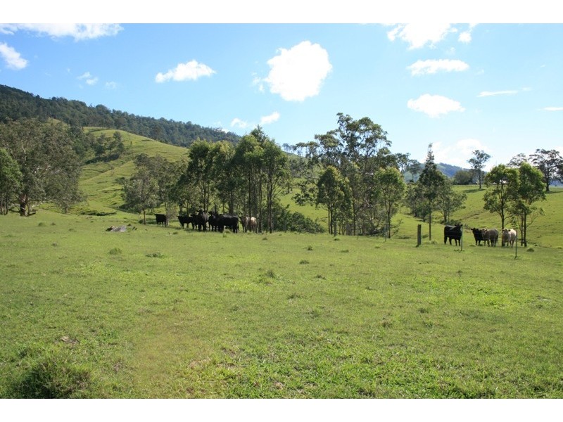 1305 Allyn River Road, East Gresford NSW 2311