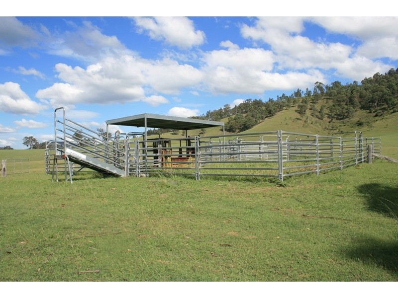 1305 Allyn River Road, East Gresford NSW 2311