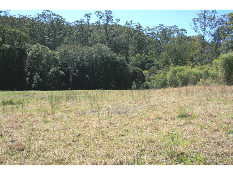 Lot 1 Saggers Creek Road, Stroud NSW 2425