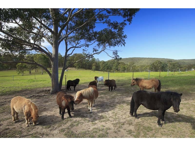 7 Storks Road, Seaham NSW 2324