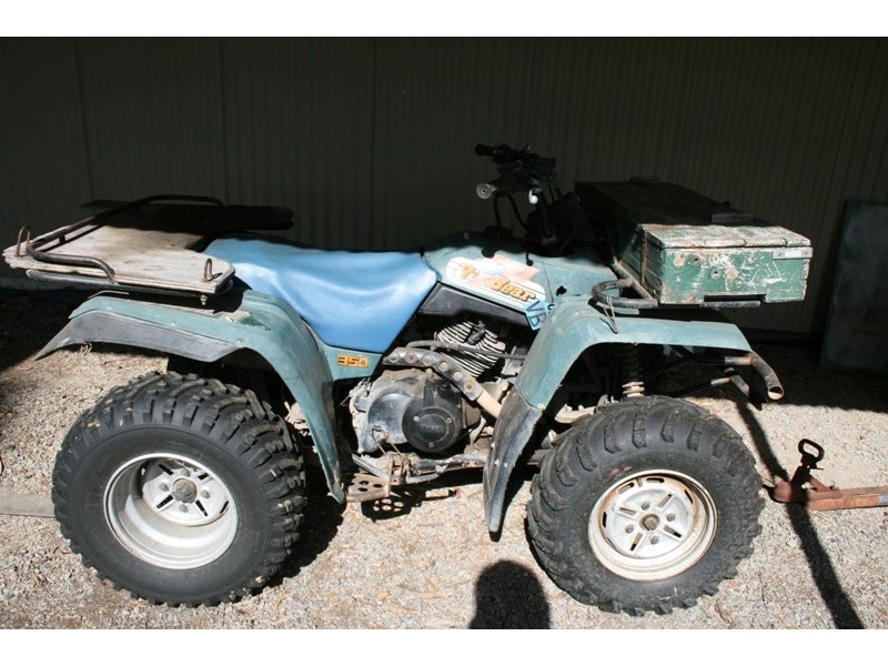 491 Allyn River Road CLEARING SALE, East Gresford NSW 2311