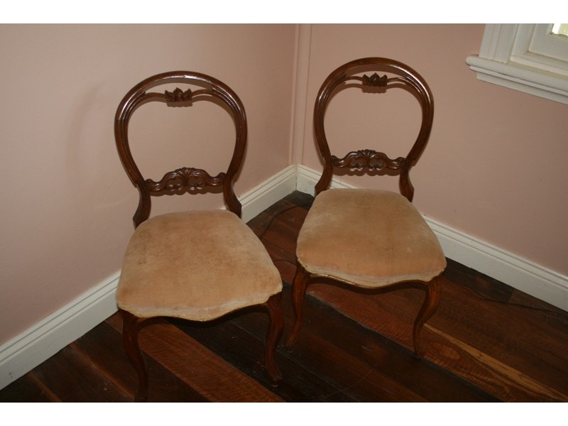 491 Allyn River Road CLEARING SALE, East Gresford NSW 2311