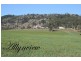 891 Allyn River Road, East Gresford NSW 2311