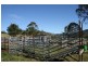 891 Allyn River Road, East Gresford NSW 2311