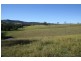 891 Allyn River Road, East Gresford NSW 2311