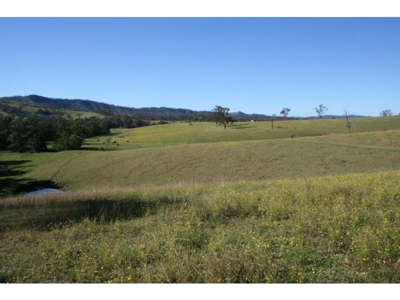 891 Allyn River Road, East Gresford NSW 2311