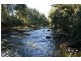 891 Allyn River Road, East Gresford NSW 2311