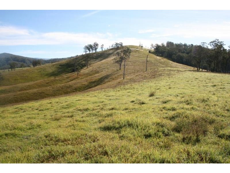 100 Heatherbrae Road, Dungog NSW 2420