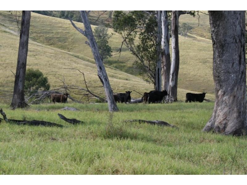 100 Heatherbrae Road, Dungog NSW 2420