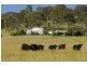 273 Hanleys Creek Road, Dungog NSW 2420