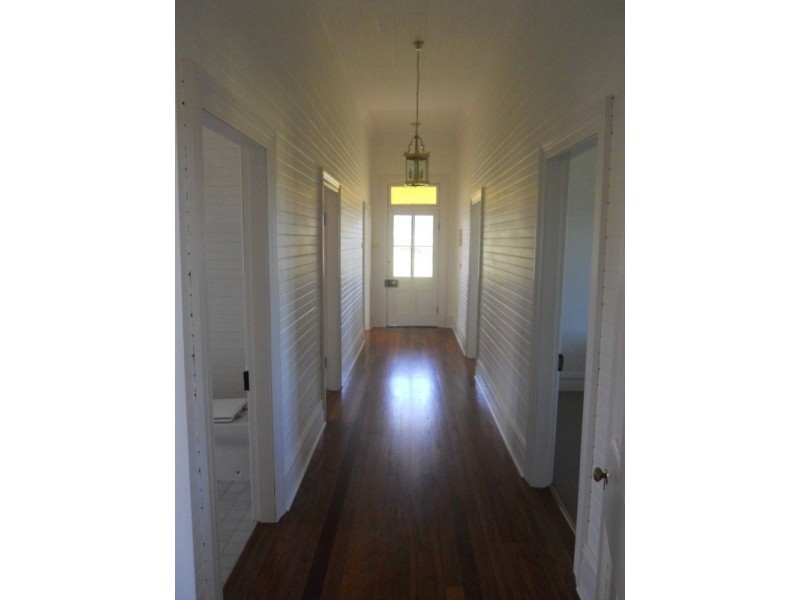Chichester NSW 2420