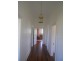 Chichester NSW 2420