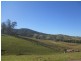 Chichester NSW 2420